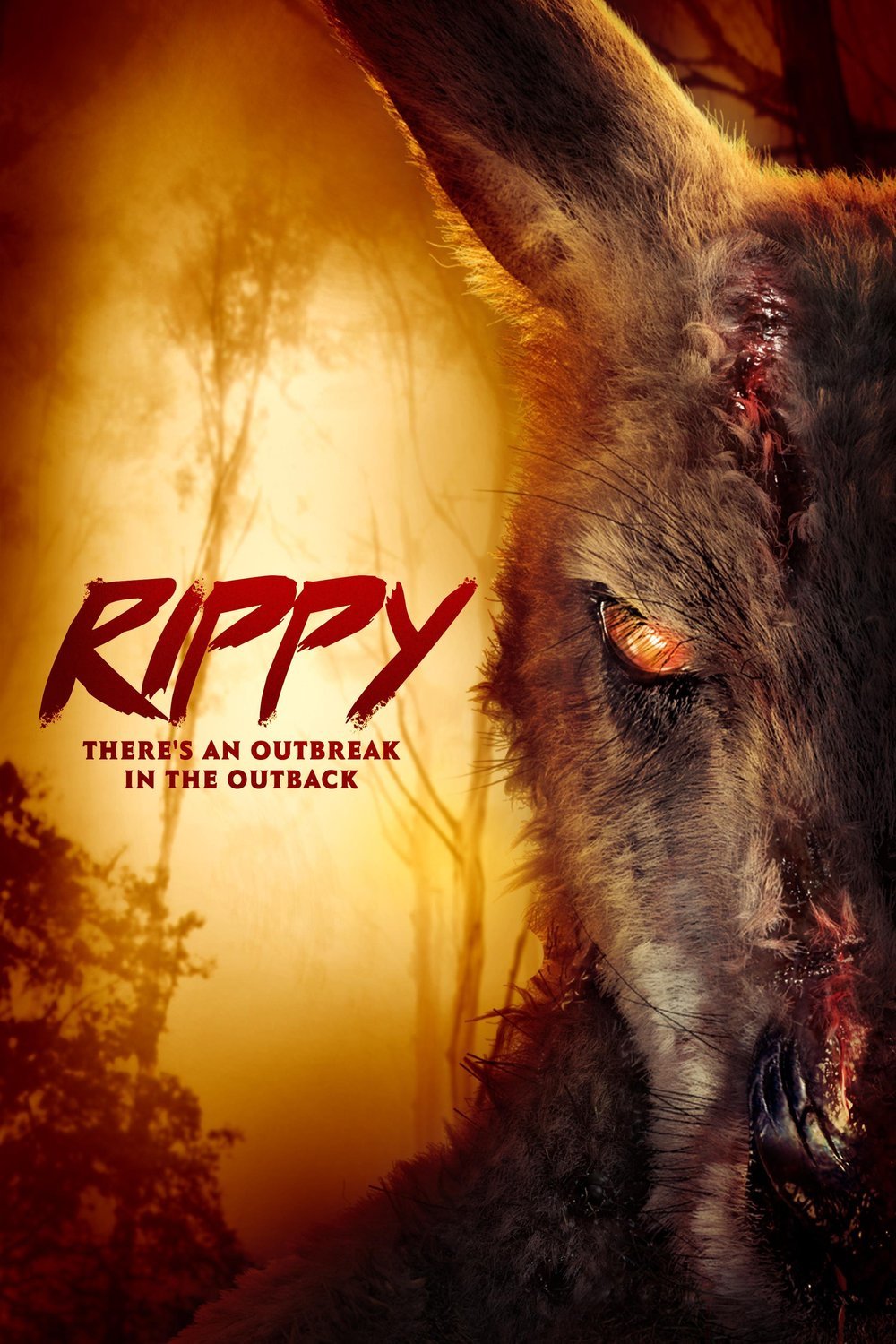 English poster of the movie Rippy