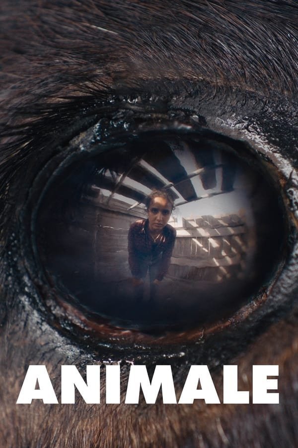 L'affiche du film Animale