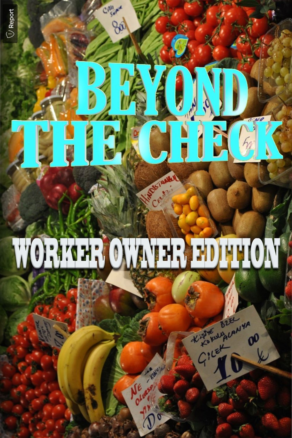 Poster of the movie Beyond the Check Worker Owner Edition