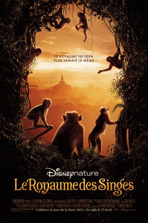 L'affiche du film Le Royaume des Singes [2015]