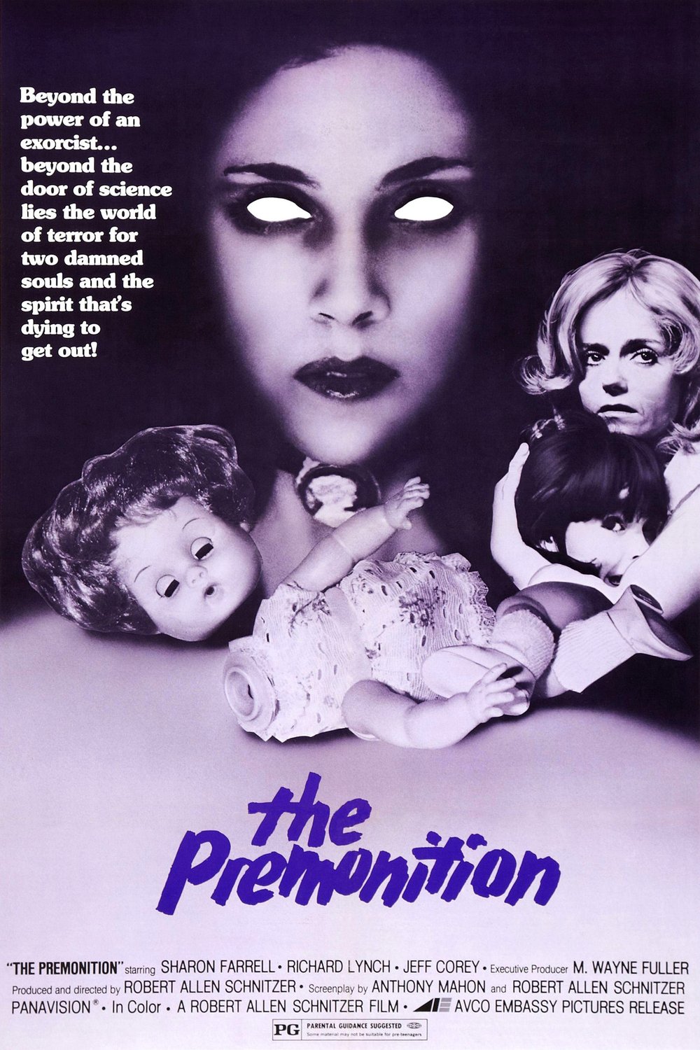 Poster of the movie The Premonition
