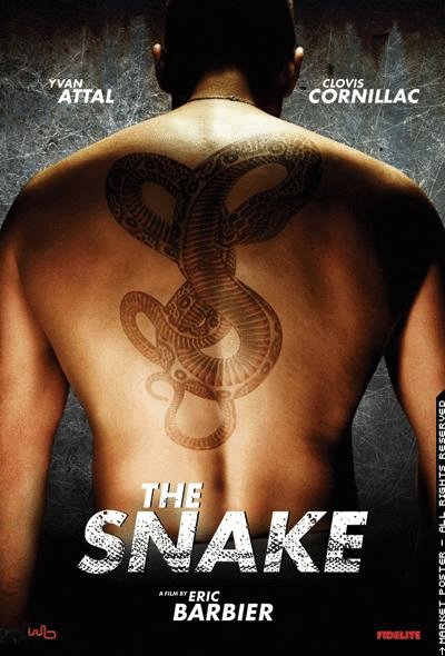 Poster of the movie The Snake [2006]