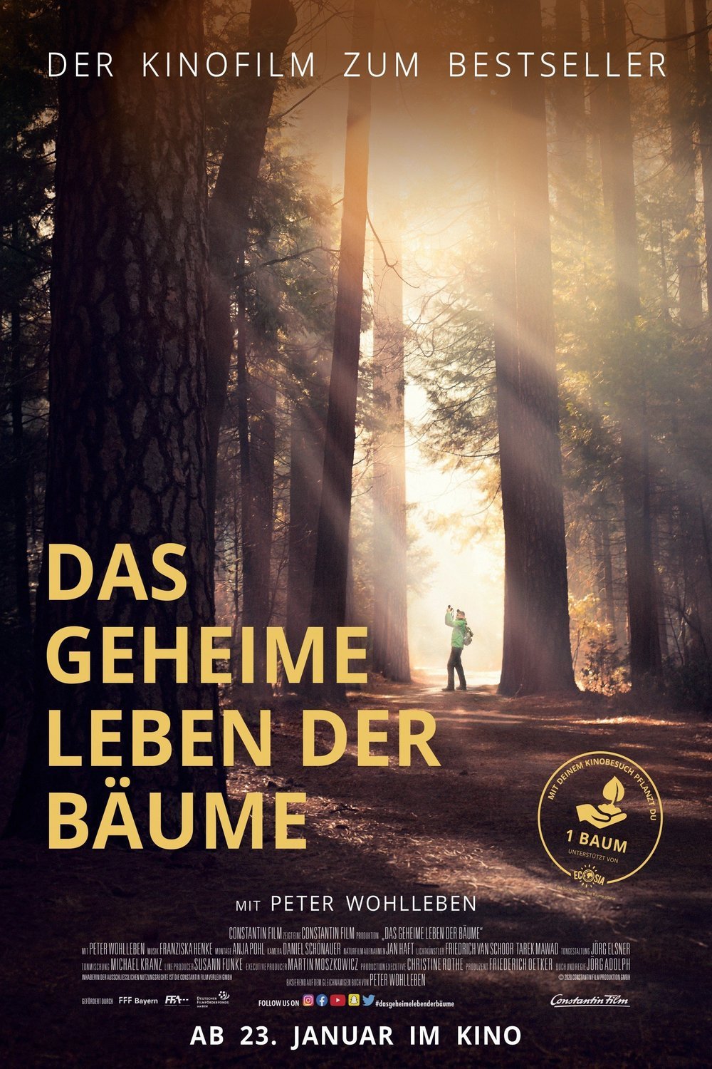 Poster of the movie Das geheime Leben der Bäume [2020]