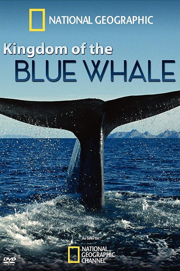 L'affiche du film Kingdom of the Blue Whale [2009]