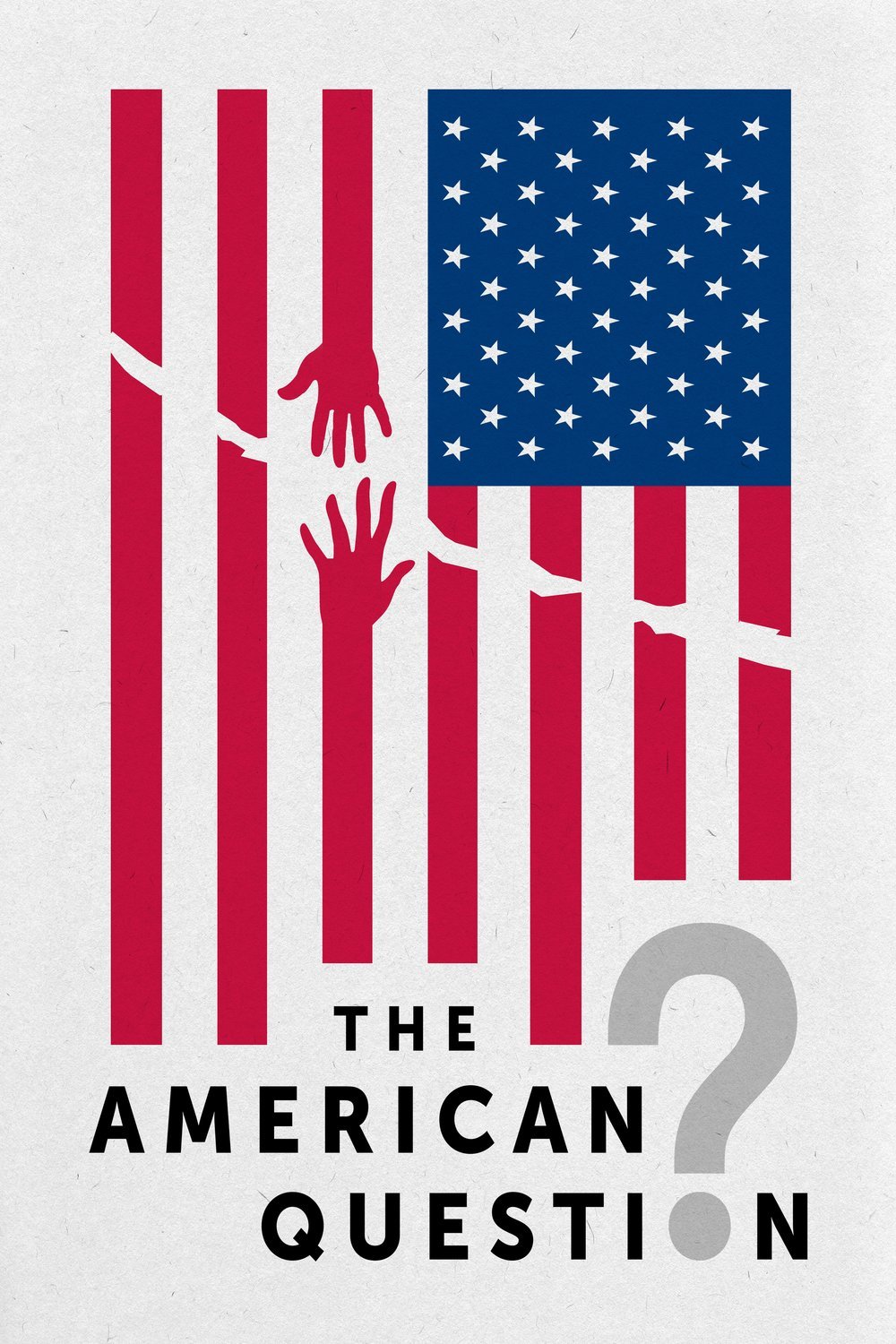 L'affiche du film The American Question