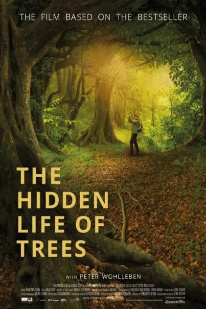 Poster of the movie The Hidden Life of Trees [2020]