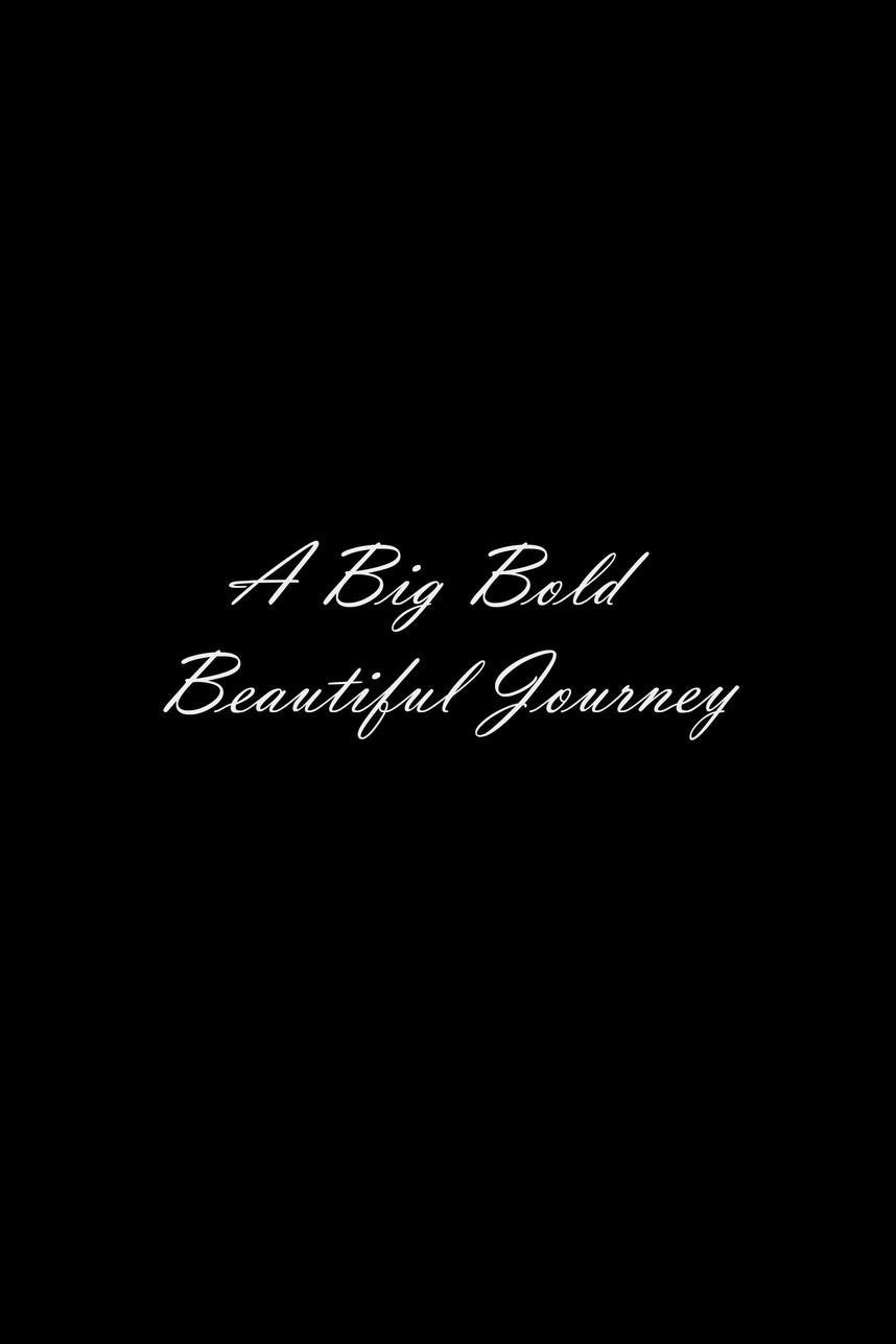 Poster of the movie A Big Bold Beautiful Journey [2025]