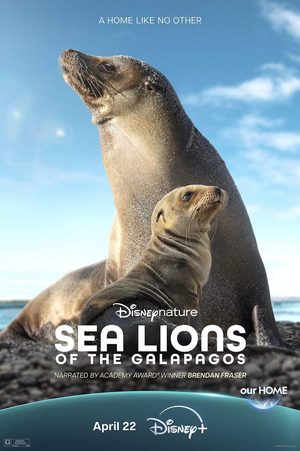 L'affiche du film Sea Lions of the Galapagos