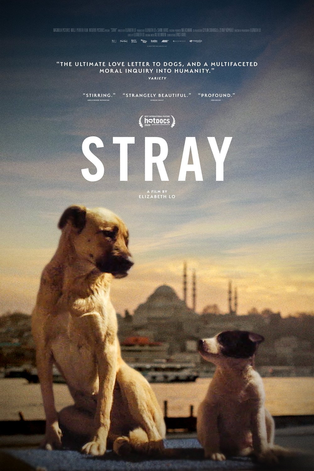 Poster of the movie Stray [2020]