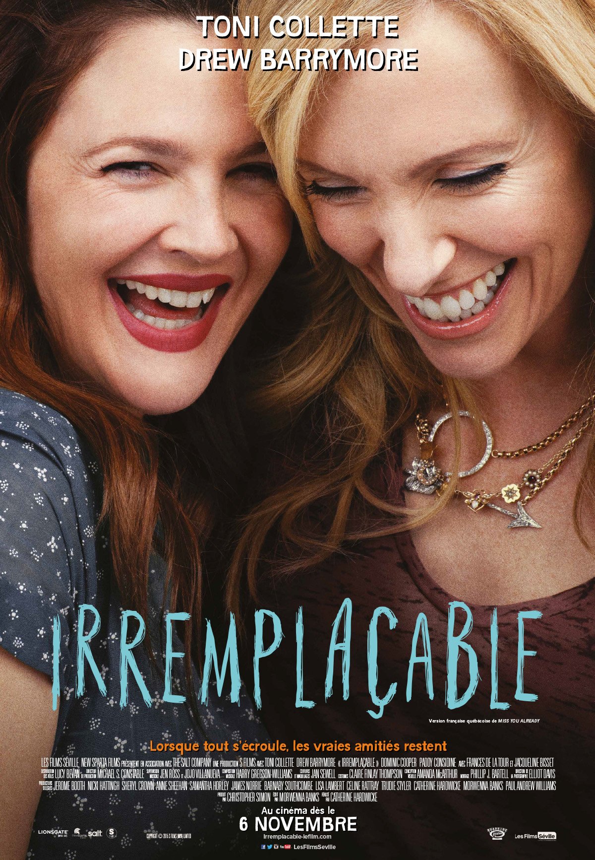 L'affiche du film Irremplaçable