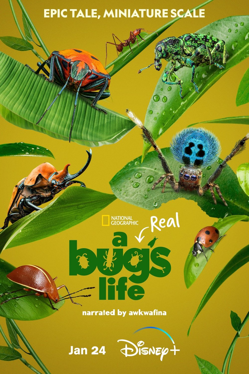 Poster of the movie A Real Bug's Life