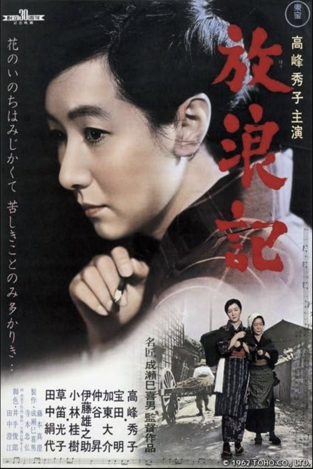 Poster of the movie A Wanderer's Notebook