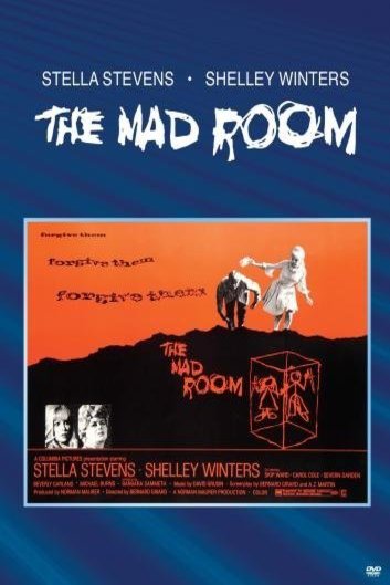 Poster of the movie The Mad Room