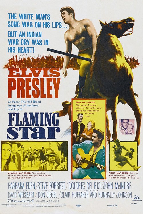 Poster of the movie Flaming Star [1960]