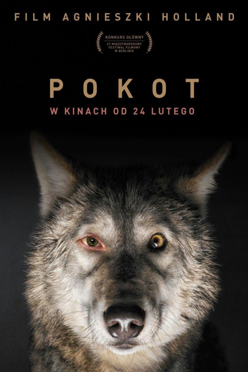 L'affiche du film Pokot [2017]