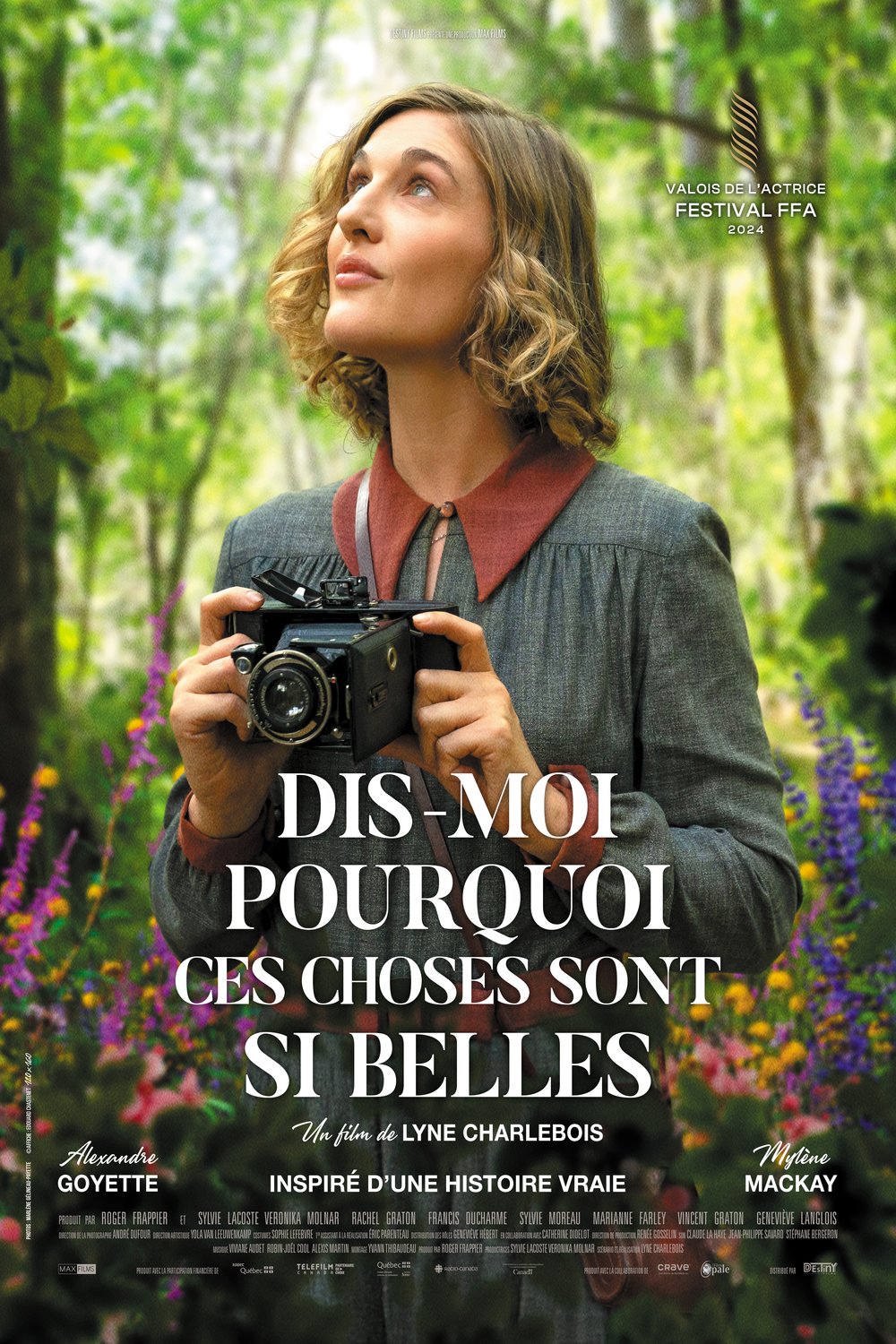 Poster of the movie Dis-moi pourquoi ces choses sont si belles