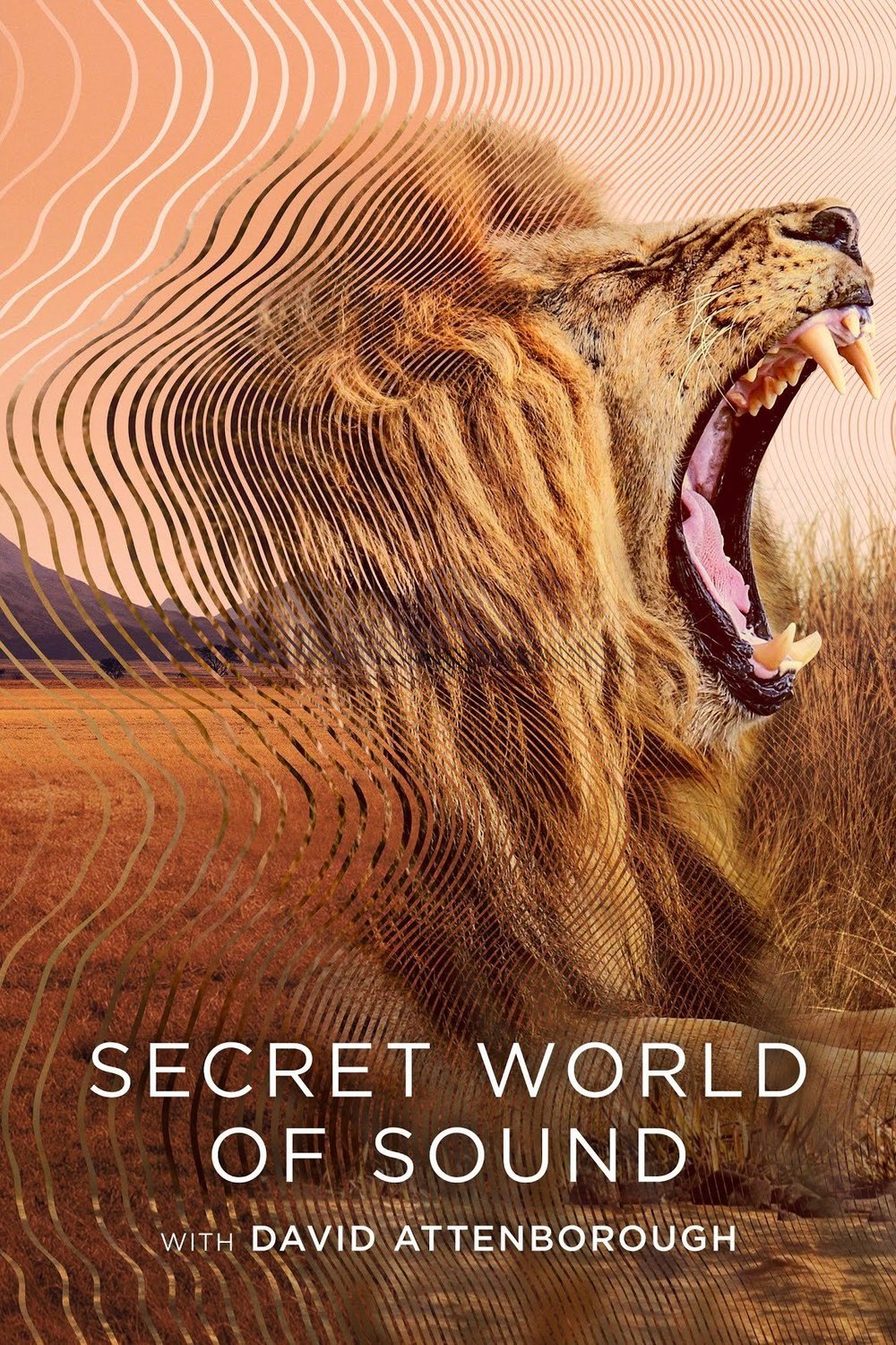 Poster of the movie Secret World of Sound with David Attenborough