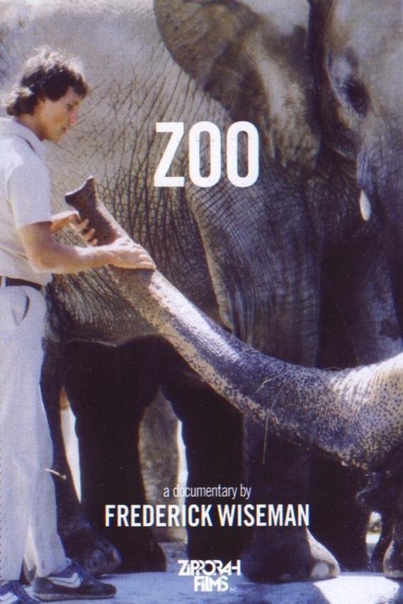 Poster of the movie Zoo