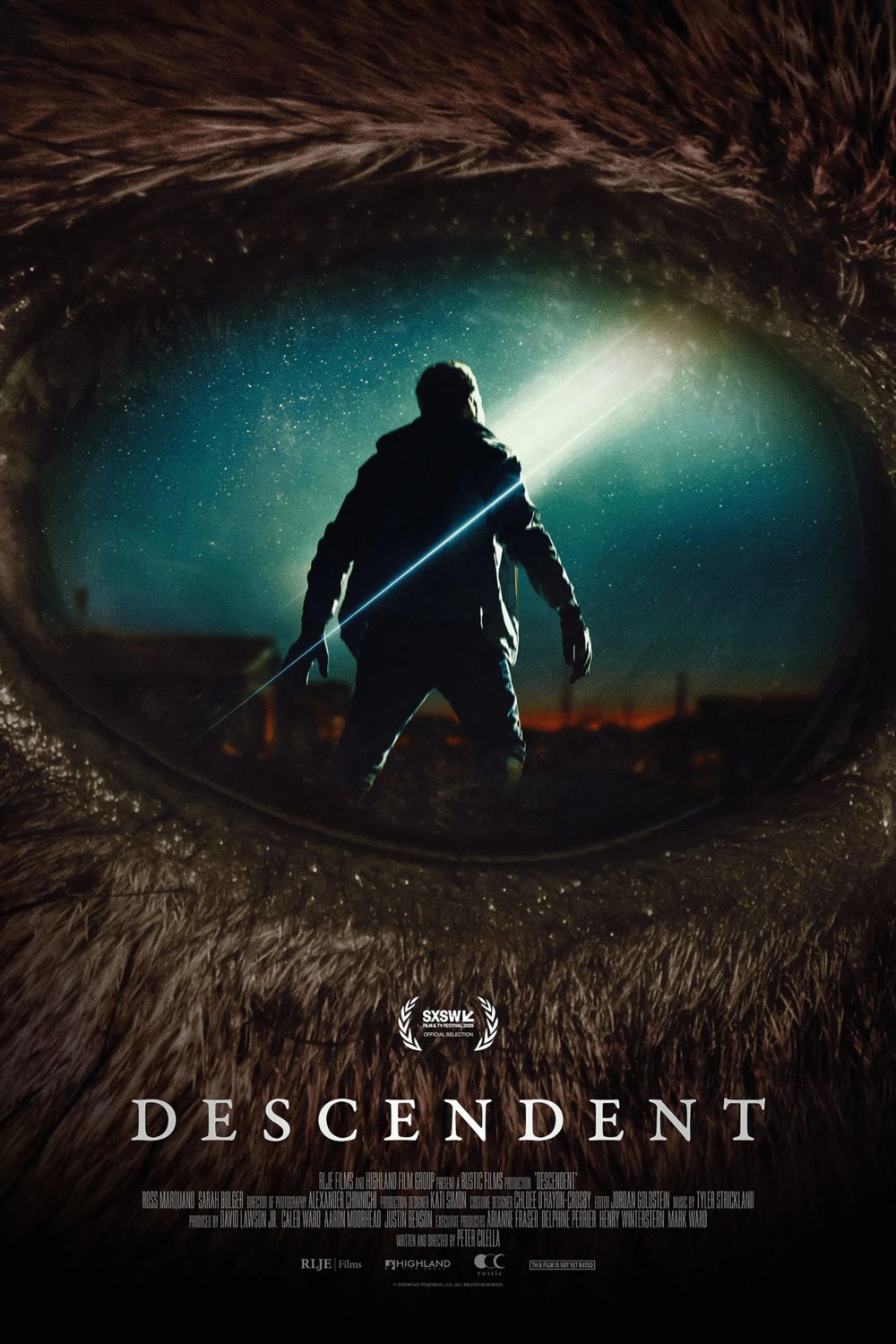 Poster of the movie Descendent