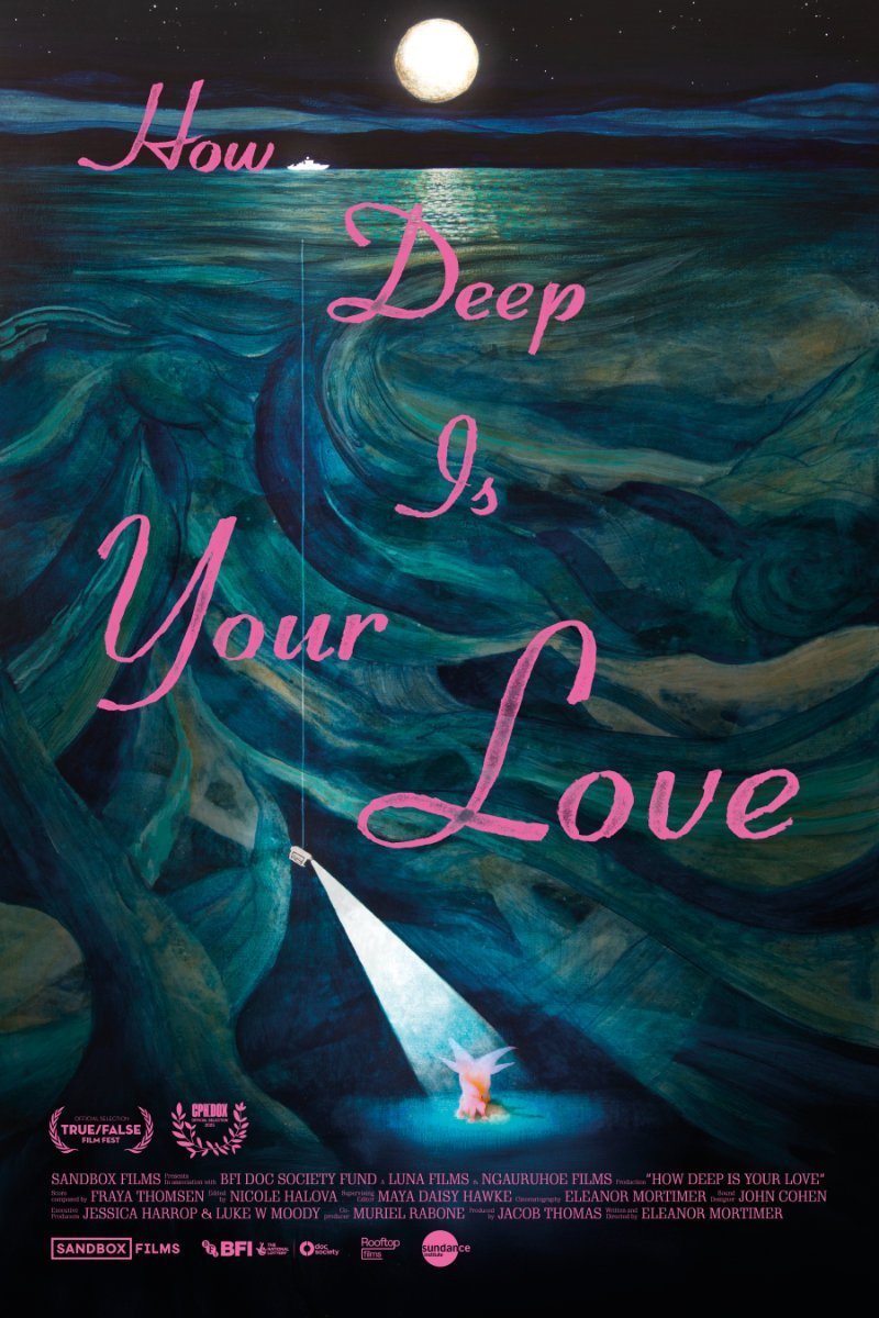 Poster of the movie How Deep Is Your Love
