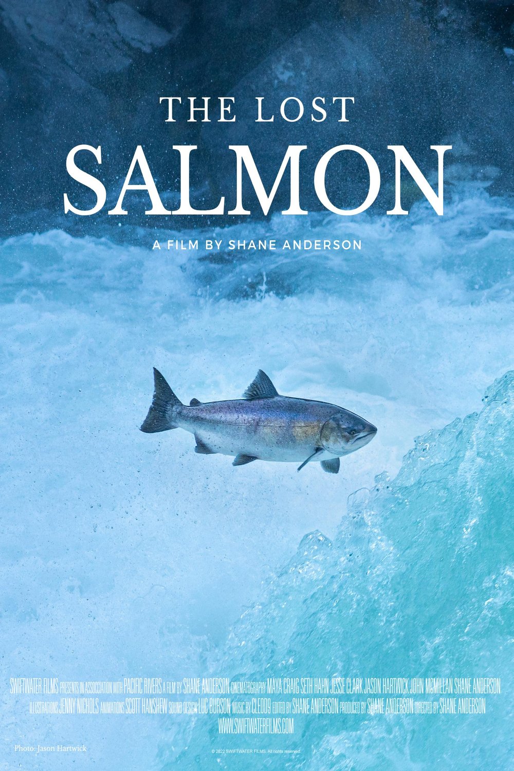 L'affiche du film The Lost Salmon