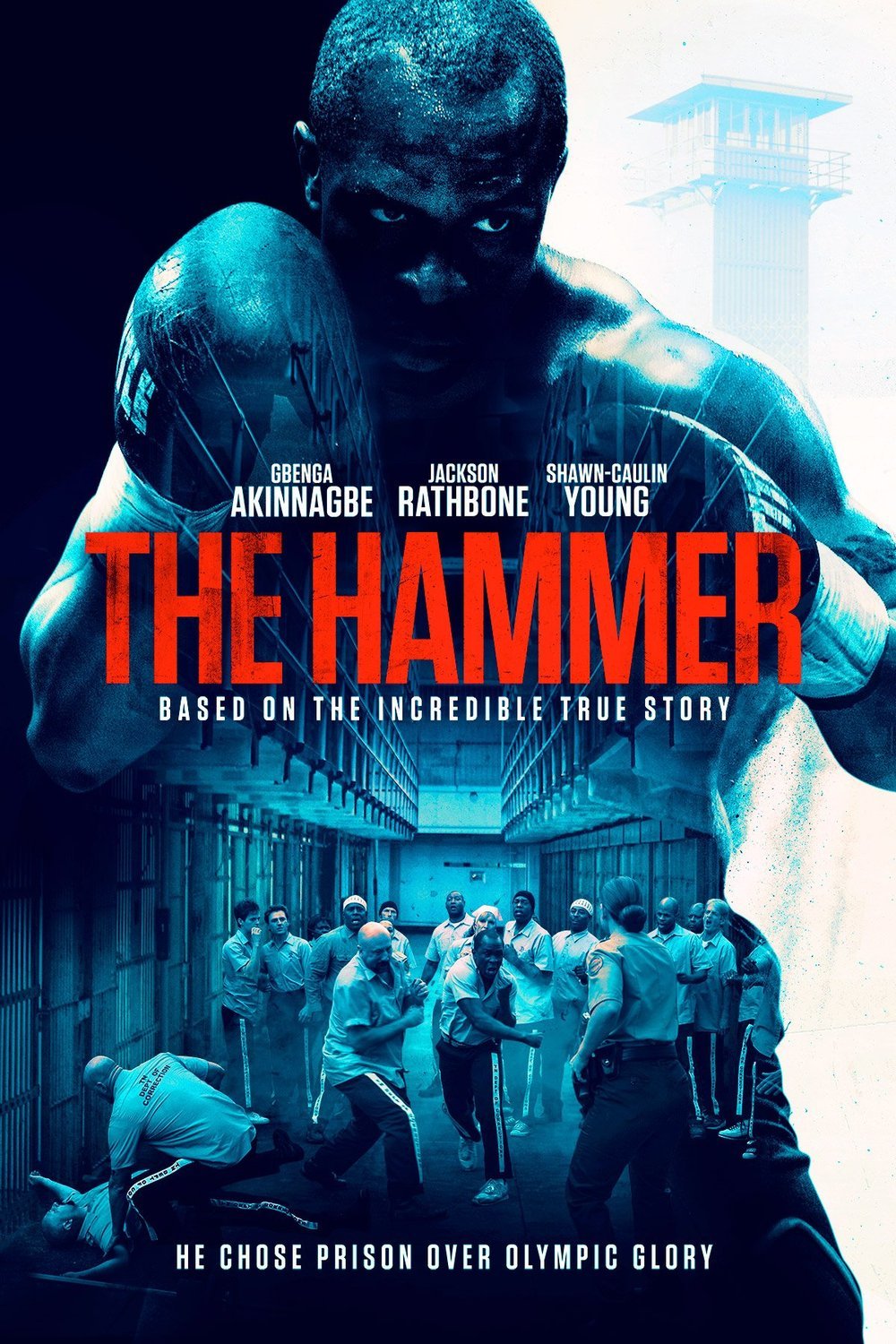 Poster of the movie The Hammer