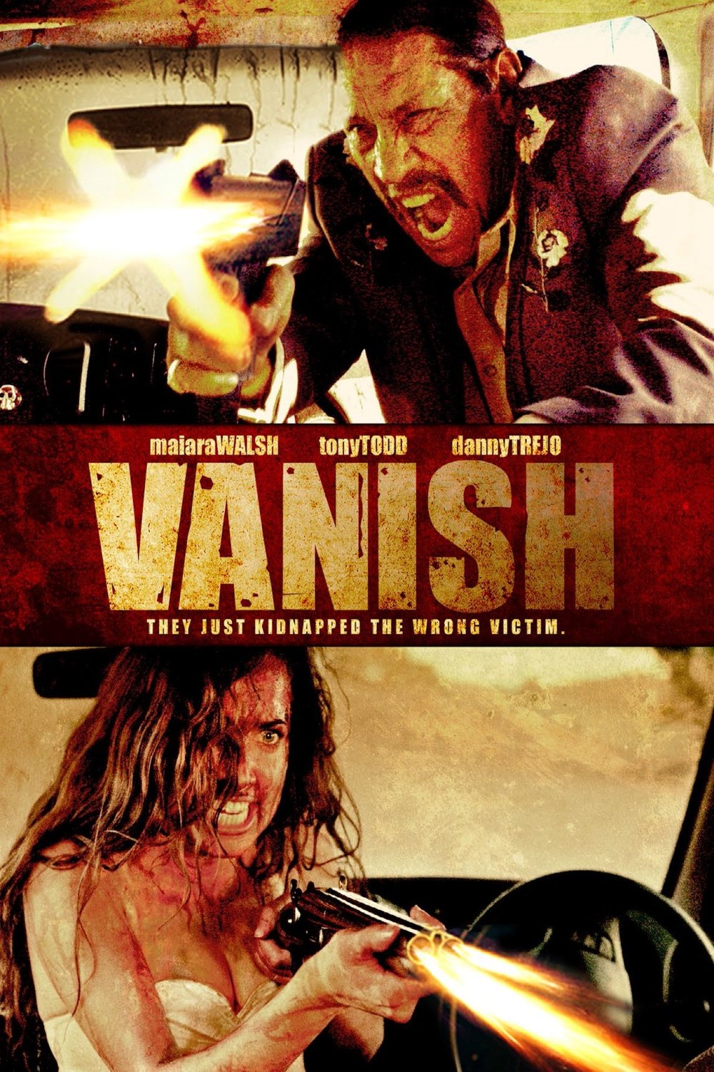 Poster of the movie VANish [2015]