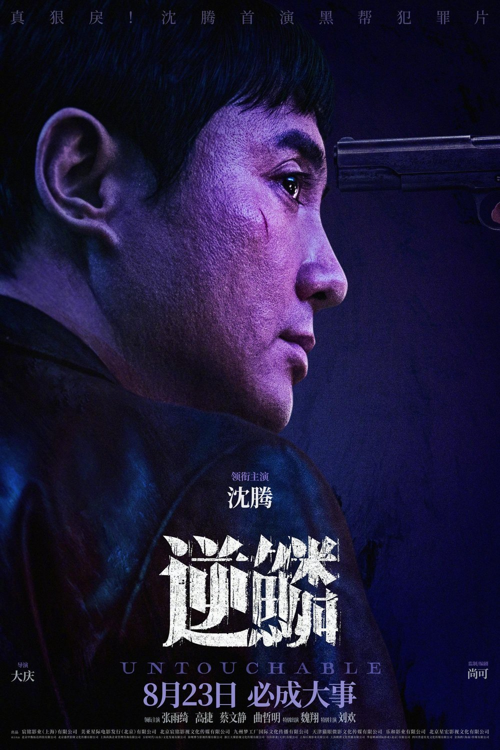 Mandarin poster of the movie Untouchable