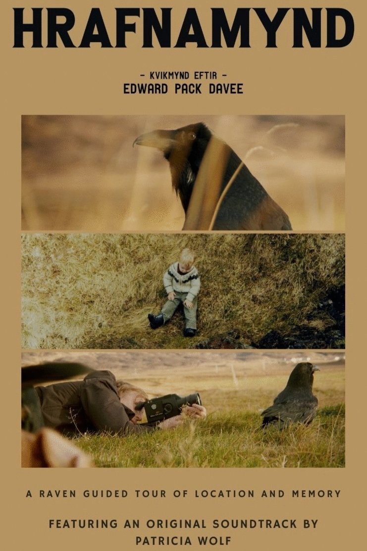 Poster of the movie Hrafnamynd