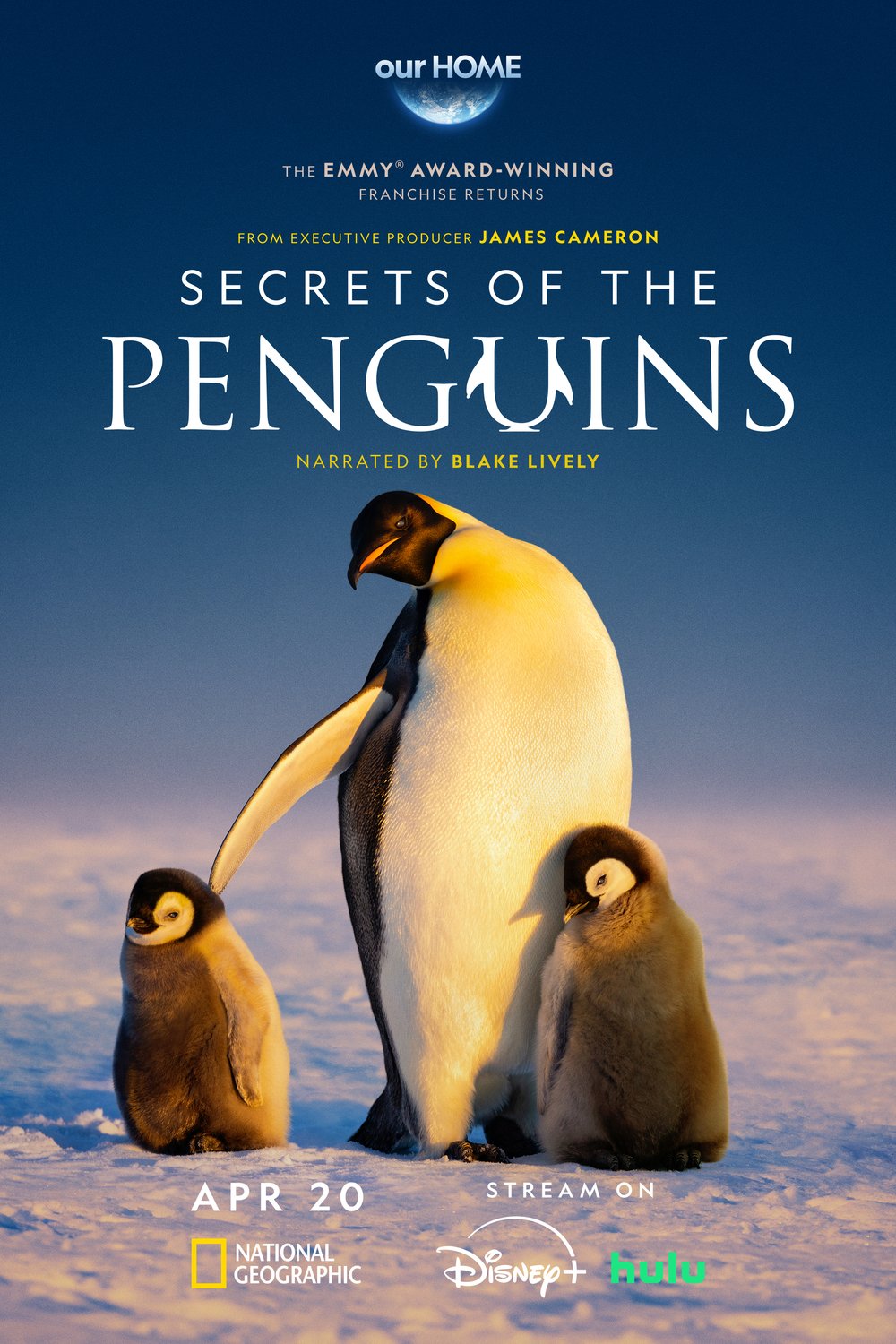Poster of the movie Secrets of the Penguins [2025]