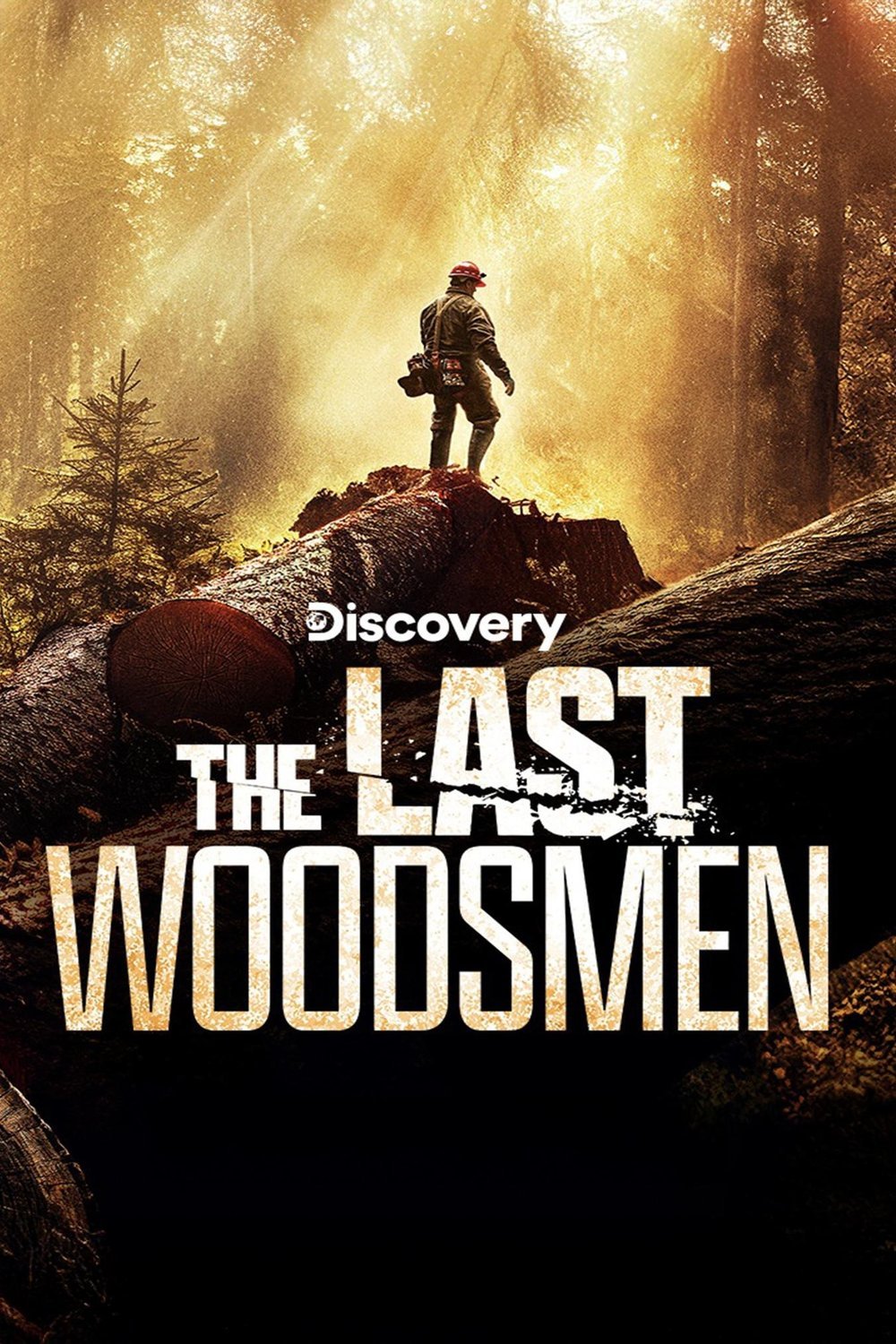 Poster of the movie The Last Woodsmen