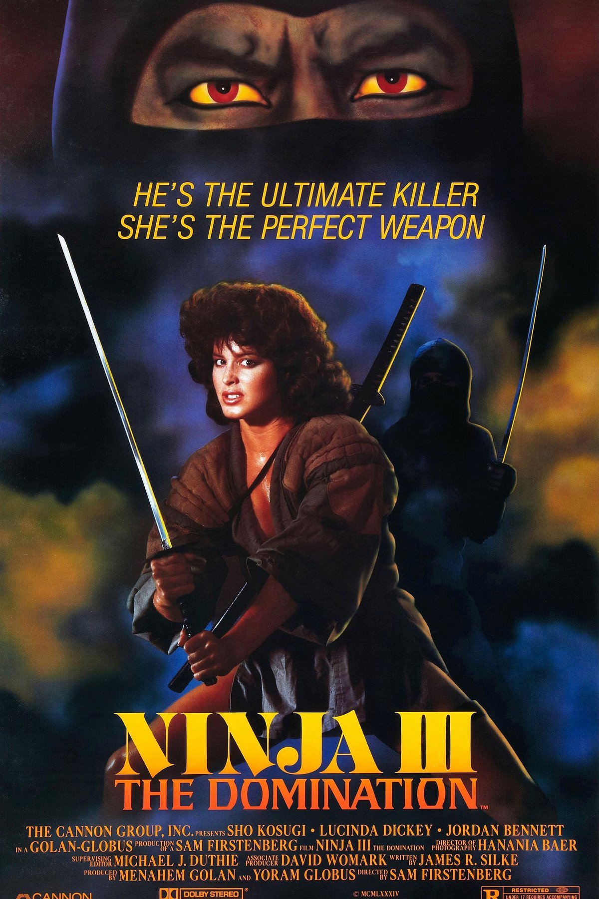 Poster of the movie Ninja 3: la domination [1984]