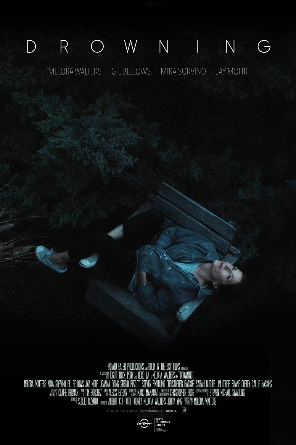 Poster of the movie Drowning