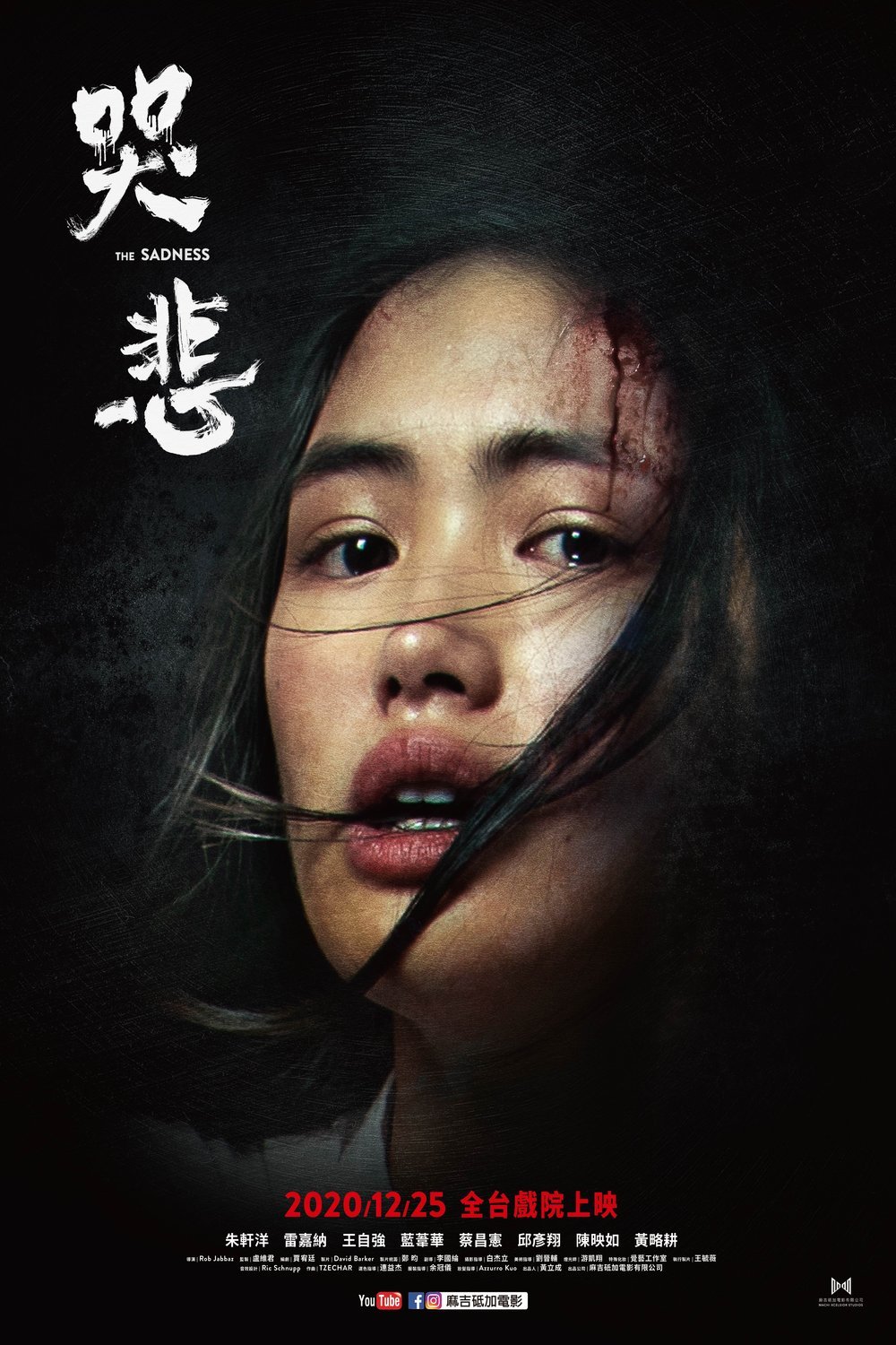 Chinese poster of the movie The Sadness