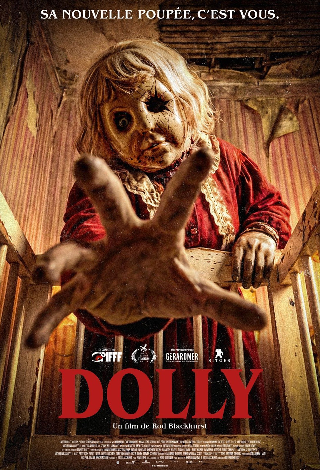 L'affiche du film Dolly v.f.