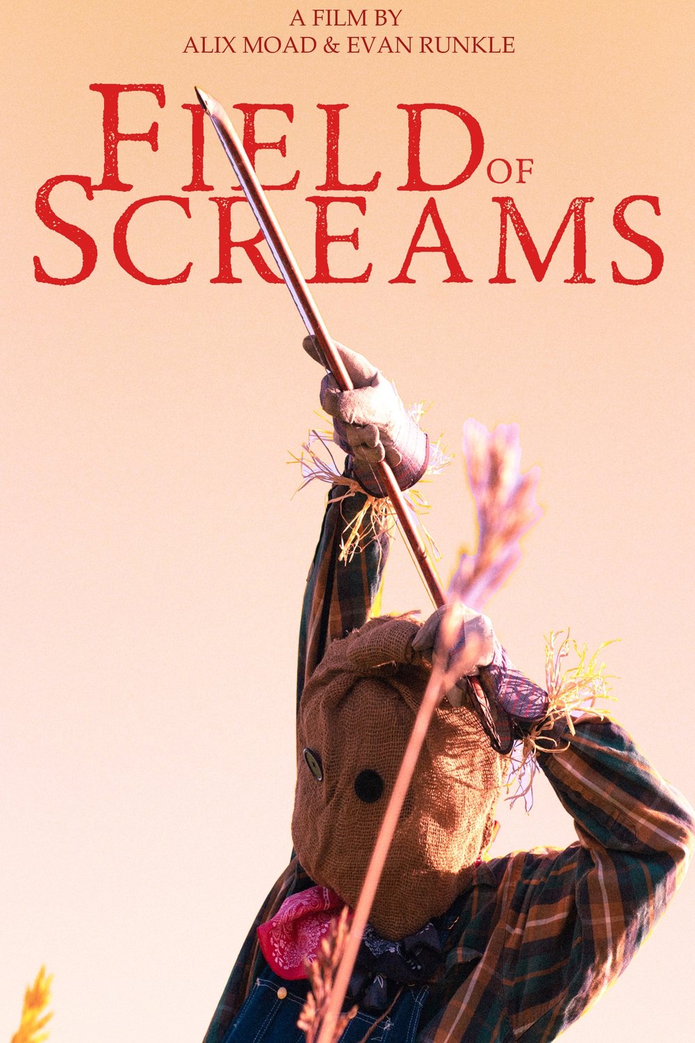 Poster of the movie Field of Screams [2025]