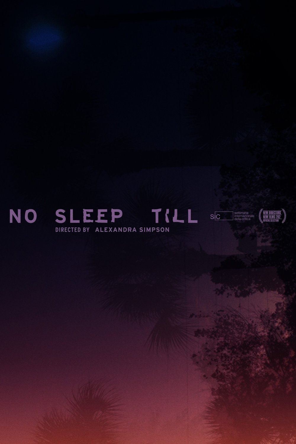 L'affiche du film No Sleep Till