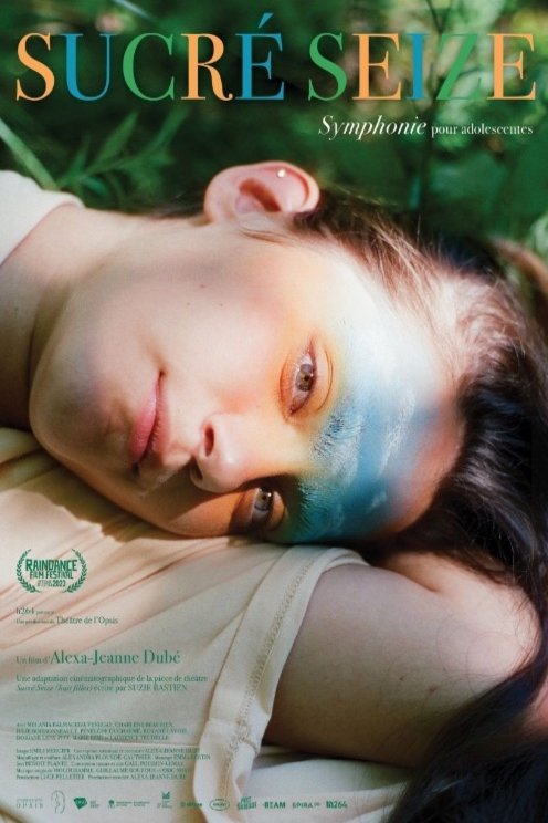 L'affiche du film Sucré Seize