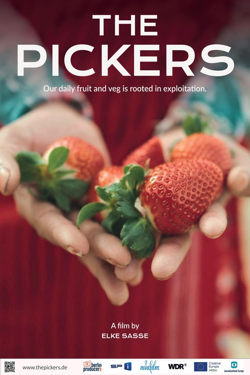 Poster of the movie The Pickers [2024]