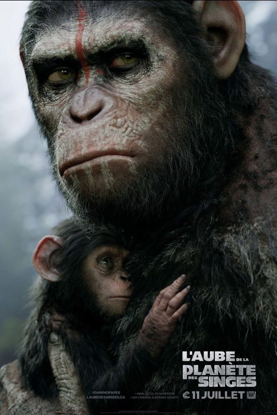 L'affiche du film L'Aube de la planète des singes [2014]