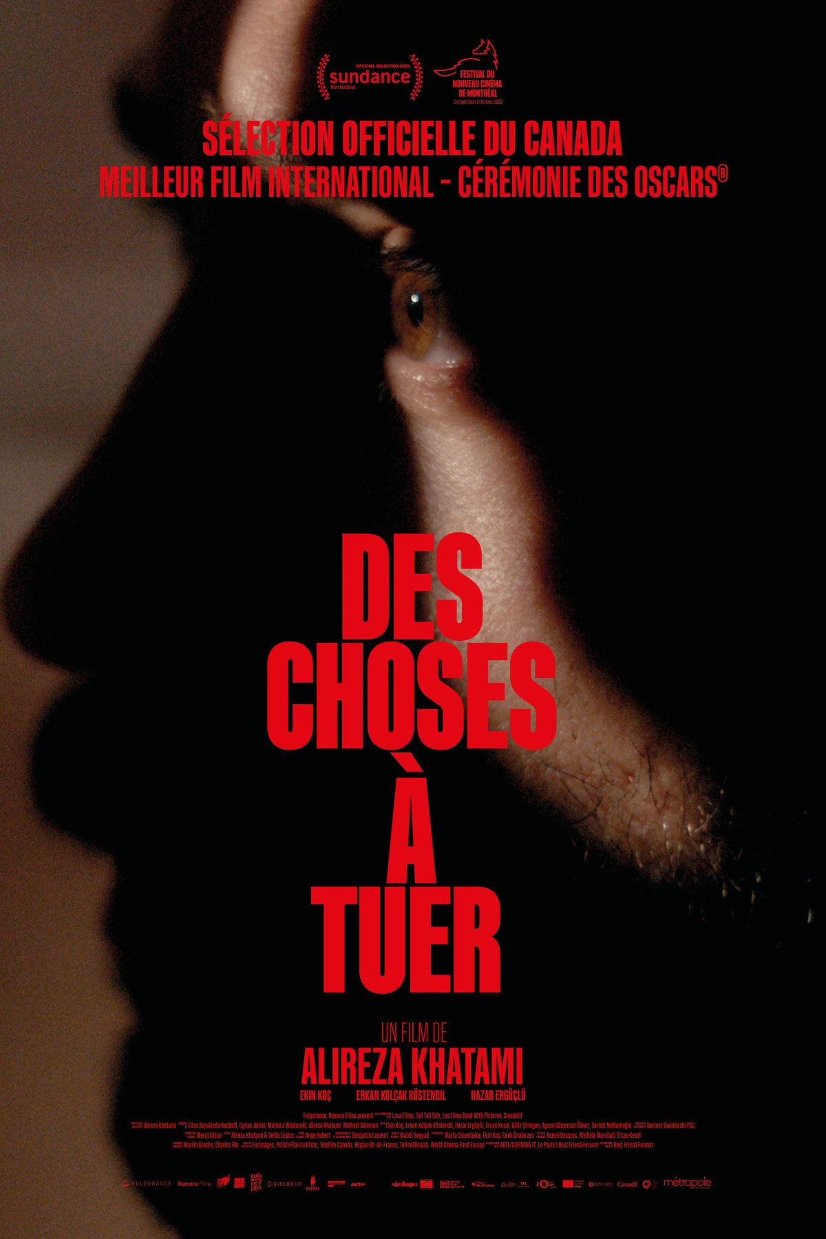 Poster of the movie Des choses à tuer