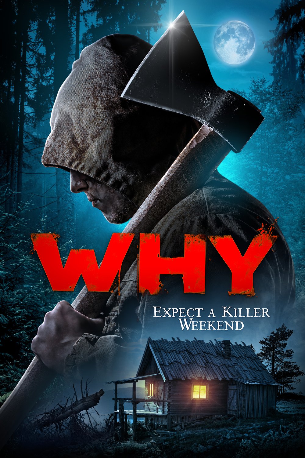 Poster of the movie Why? [2021]