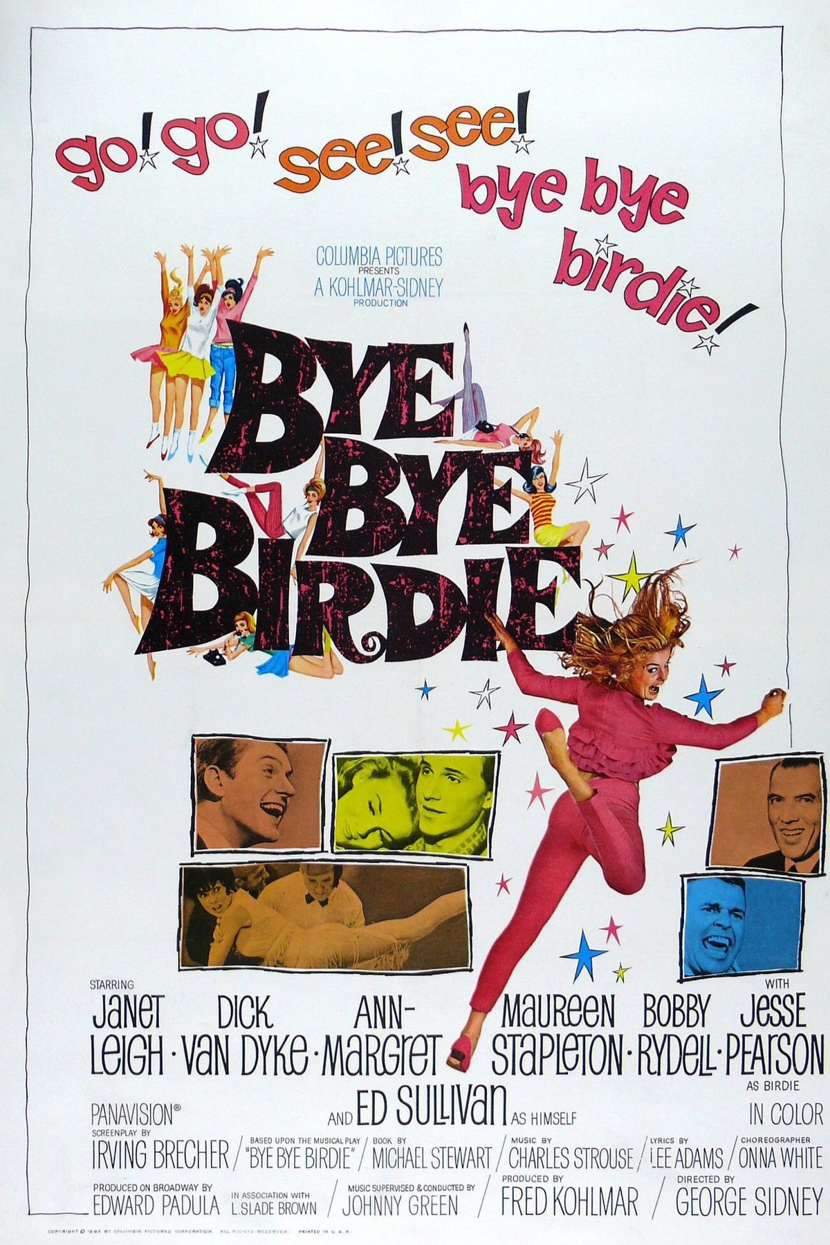 L'affiche du film Bye Bye Birdie [1963]