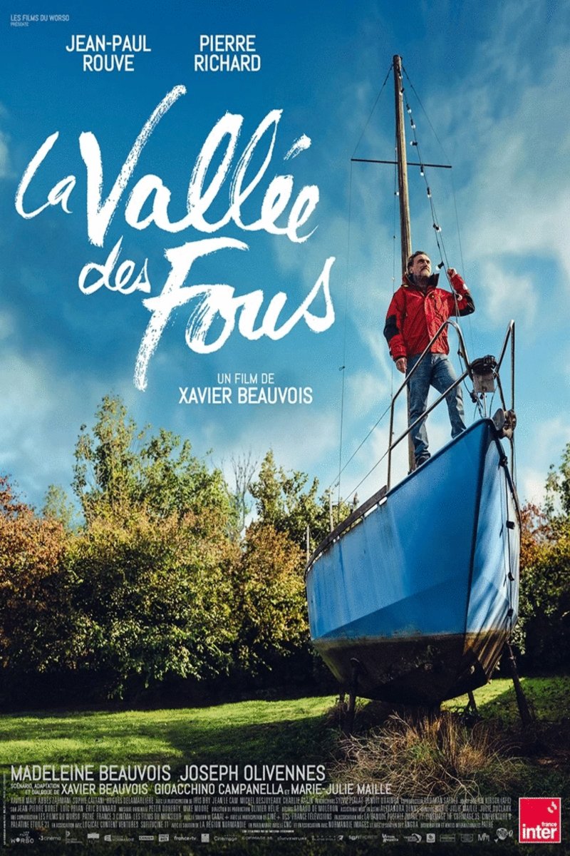 Poster of the movie La vallée des fous